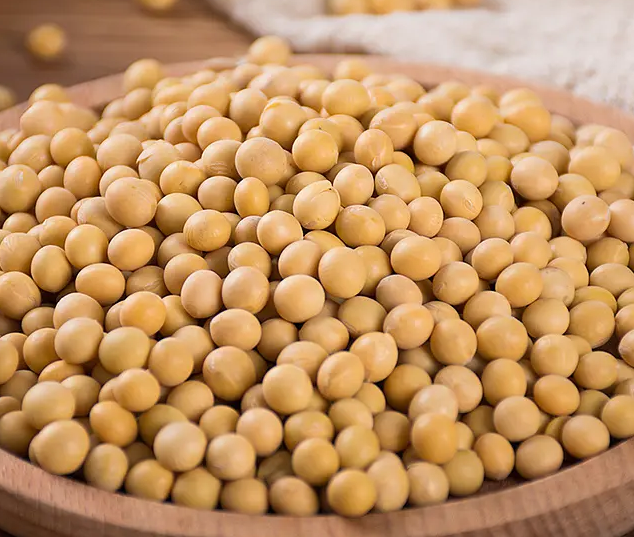 黃豆價格這么高,怎么做豆腐 黃豆價格這么高,怎么做豆腐