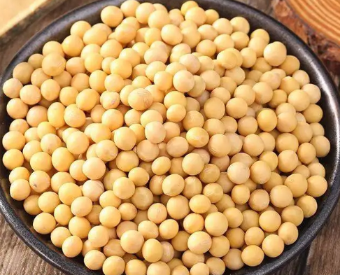 豆皮機市場應該怎么走 豆皮機市場應該怎么走