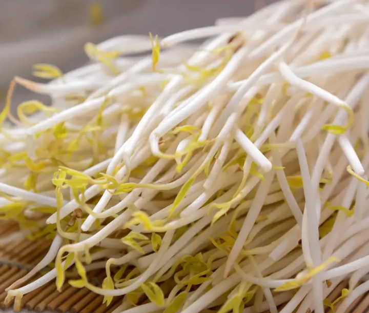 豆芽生意好做嗎 豆芽生意好做嗎