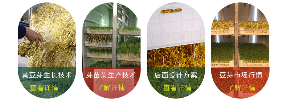 豆芽機(jī)怎么生產(chǎn)豆芽 豆芽機(jī)怎么生產(chǎn)豆芽