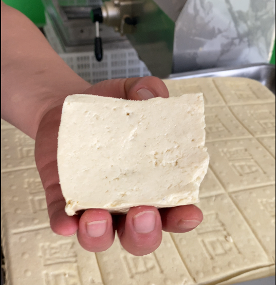 豆貴妃豆腐機怎么做鹵水豆腐 豆貴妃豆腐機怎么做鹵水豆腐