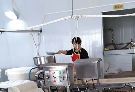 雙層豆皮機 雙層豆皮機