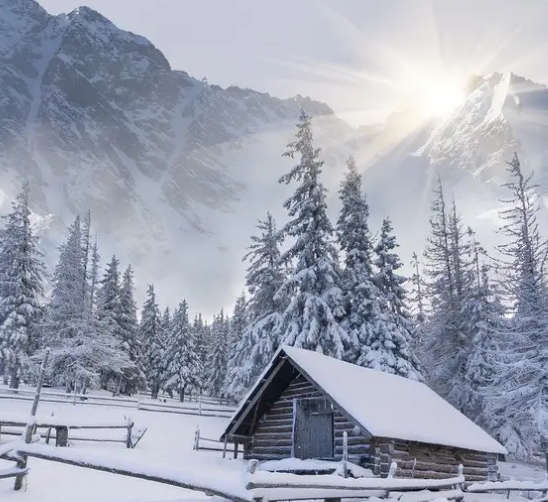 冬天用豆腐機做豆腐怎么樣