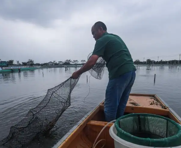 水產(chǎn)老鐵用豆腐機(jī)做豆腐