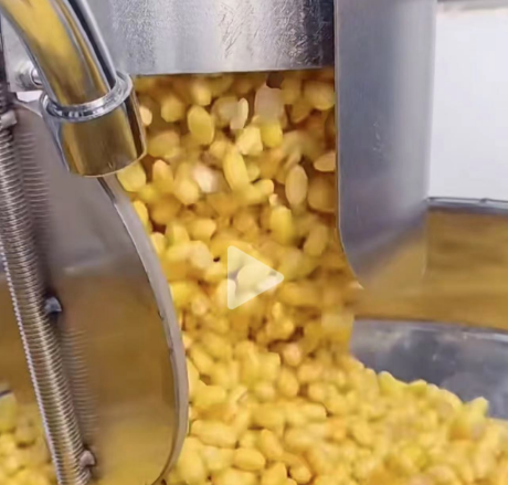 豆貴妃豆腐機吸豆系統(tǒng) 豆貴妃豆腐機吸豆系統(tǒng)