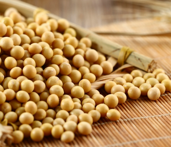 用豆腐機(jī)做豆腐，應(yīng)該選用什么樣的大豆