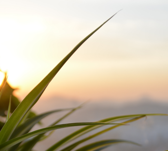 豆貴妃豆腐機 豆貴妃豆腐機