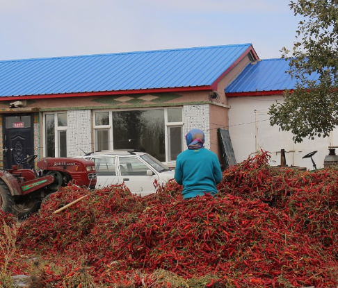 東北老鐵做豆腐 東北老鐵做豆腐