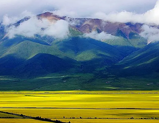 青海豆皮機 青海豆皮機