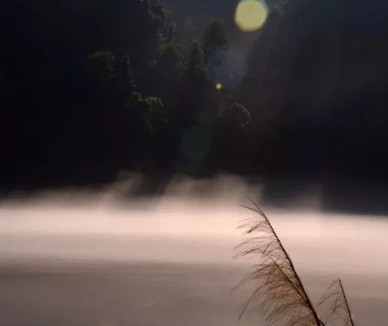 1687138428206079.png image.png