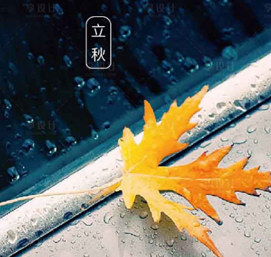 1691466474546417.png image.png