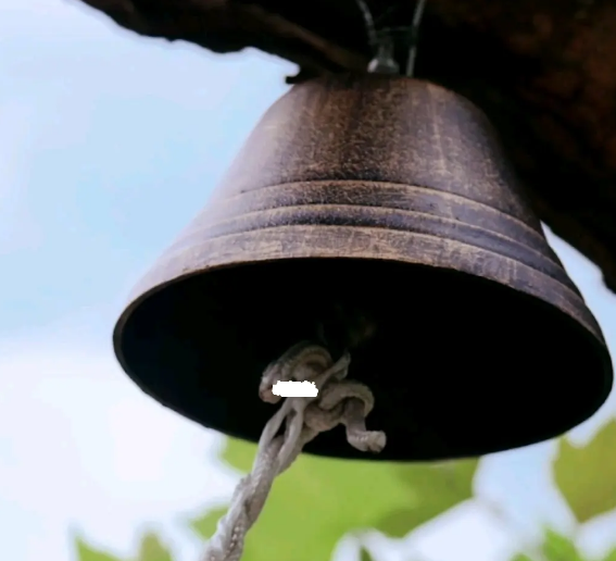 1698627319116616.png image.png