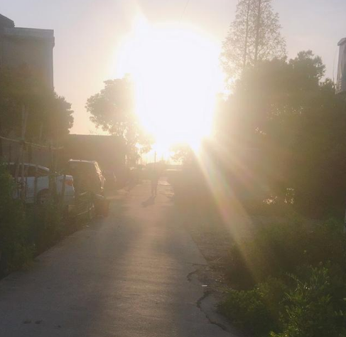 1701821969916619.png image.png