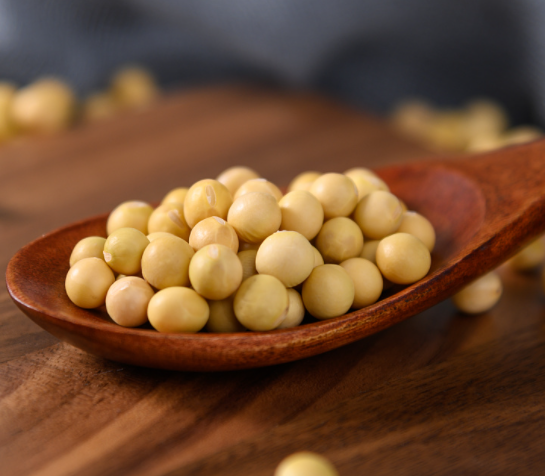 1708910668229187.png image.png